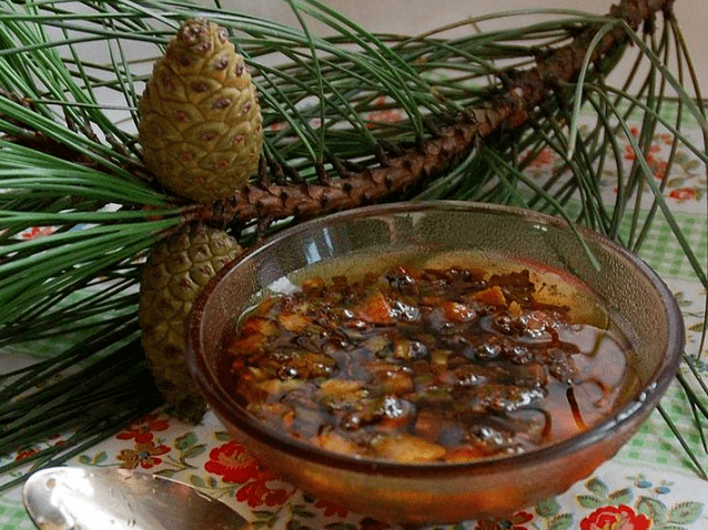 Decoction based on pine pine bases